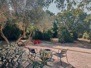 two chairs and a fire pit in a yard with trees at La Maison l'Oliveraie in Lunel