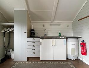a kitchen with a refrigerator and a sink at Selje Camping - Hytte Nr 5 in Selje