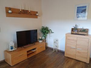 TV a/nebo společenská místnost v ubytování Ferienwohnung Picidae 55172 + 4 fotografie