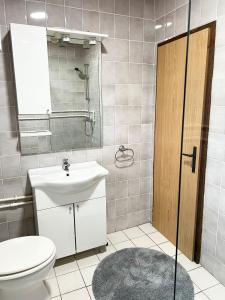 a bathroom with a toilet and a sink and a mirror at Domacinstvo Paprica Tjentiste in Foča +54 photos