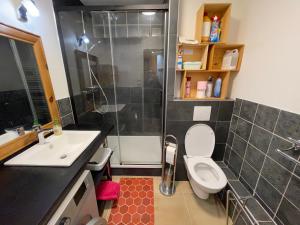 a bathroom with a toilet and a sink and a shower at Appartements bien situés avec terrasse in Le Mont-Dore
