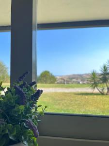 a plant in a window with a view of a field at Luna Apartments in Badolato