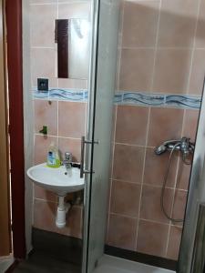 un baño con lavabo y ducha en Drevenica Gál, en Kvačany