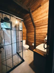 a bathroom with a toilet and a glass shower at Mora Farmhouse in Ardeşen