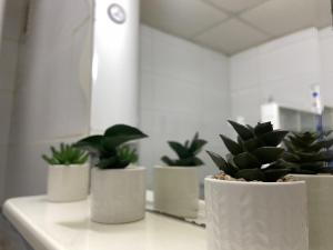 Φωτογραφία από το άλμπουμ του Apartman Lea σε Paraćin