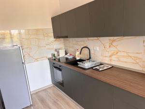 a kitchen with a counter and a sink and a refrigerator at Rion Apartment in Saturn