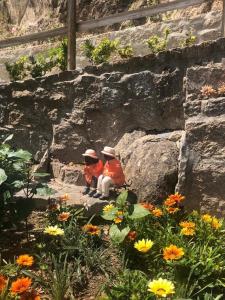 Zahrada ubytování Quinta do Guardião