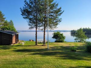 a dog standing in the grass next to a lake at Mökki Kemijärvellä in Ämmälä