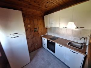 Eldhús eða eldhúskrókur á Chalet Hill Zabljak