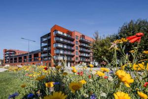 Vonkajšia záhrada v ubytovaní Apartament Nadmotławie 34