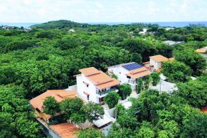 an aerial view of a house in the forest at Lovely Pipa in Pipa