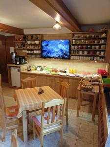 Kuchyň nebo kuchyňský kout v ubytování pension TARA + 37 fotografií