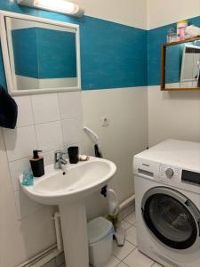 une salle de bain avec un lavabo et une machine à laver dans l'établissement Petit appart, à Garges-lès-Gonesse