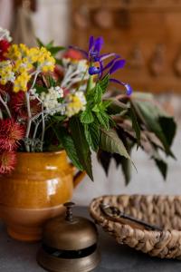 a vase filled with flowers sitting next to a bowl at Hôtel La Muette in Arles