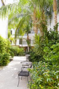 Zahrada ubytování Alecos Hotel Apartments