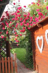 Zahrada ubytování Apartmenthaus Wertheim