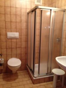 a bathroom with a shower and a toilet and a sink at Hotel Bad Winkel in Campo Tures