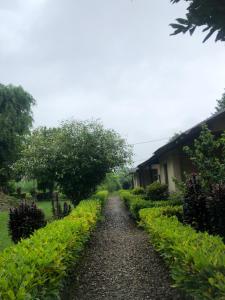 Foto sihtkohas Sauraha asuva majutusasutuse Glampin By Tharu Garden galeriist