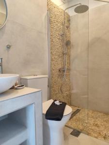a bathroom with a shower and a toilet and a sink at Reginas studios & apartments - Bougainvillea Suite in Fiskardho