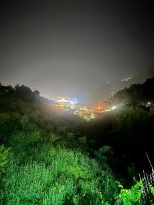 培拉特Guest House Emiljos Flamur的相册照片 更多8张照片