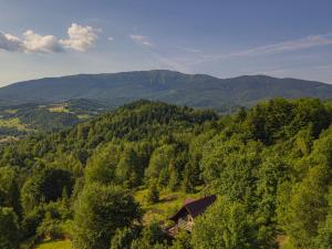 a house in the middle of a forest with mountains at Alemiło - uroczy dom z balią i widokiem na Babią Górę in Zawoja