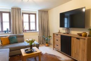 TV a/nebo společenská místnost v ubytování Charming apartment old town Arkadenhof
