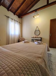 a bedroom with a large bed and a mirror at Bella Casa in Petrití