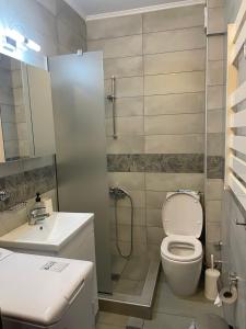 a bathroom with a toilet and a sink and a shower at Olive House Apartments - Paralia Ofrinio in Orfánion