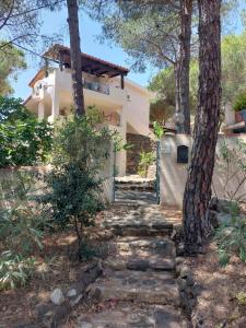 a pathway leading to a house with trees at Villalba in Cala Liberotto