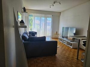 a living room with a couch and a television at Bonito apartamento vacacional1 in Lausanne