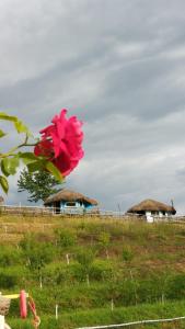 Fotografie z fotogalerie ubytování Odaia Bunicilor v destinaci Feldru + 17 fotografií