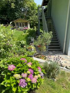 a garden with flowers on the side of a house at Liz Mari Apartments near Terme Olimia in Podčetrtek