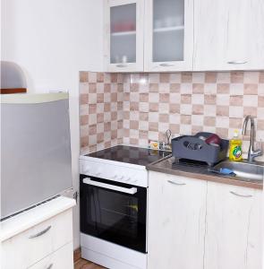 Kuchyň nebo kuchyňský kout v ubytování Apartman Adi