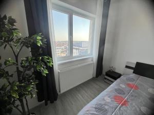 ein Schlafzimmer mit einem Bett und einem großen Fenster in der Unterkunft Apolonium Apartment Properties in Bukarest