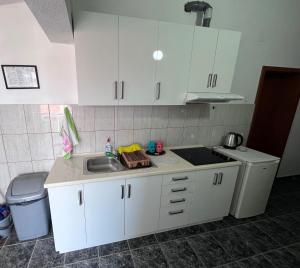 Kuchyň nebo kuchyňský kout v ubytování Saraj appartments + 7 fotografií