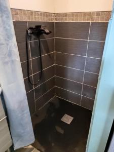 y baño alicatado con ducha y manguera. en Studio au cœur de la Sologne, en Romorantin-Lanthenay 3 fotos más