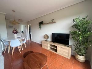 TV a/nebo společenská místnost v ubytování Apartamento Guou