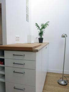 a kitchen with a desk with a potted plant at Mini Loft Roquette CityCosy in Paris