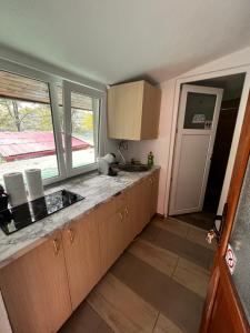 a kitchen with a sink and a counter top at Gretas Home Surduc in Fîrdea