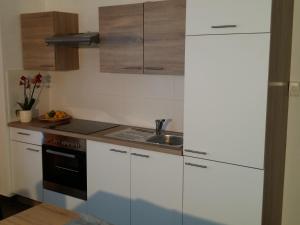A kitchen or kitchenette at Apartments Domovoj Még 3 kép