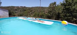 Bazén v ubytování DIMORA IL CAMALEONTE apartments in nature with pool nebo v jeho okolí