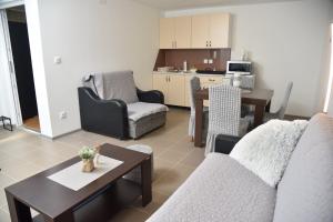 Kuchyň nebo kuchyňský kout v ubytování Boja Zalaska - kameni apartman