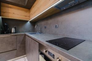 Kuchyň nebo kuchyňský kout v ubytování Lauta Forest 1-bedroom apartment
