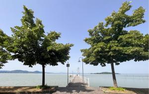 two trees next to a dock in the water at Lovely Apartment In San Feliciano in San Feliciano