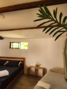 a bedroom with a bed and a potted plant at Casa Circular in Tatajuba