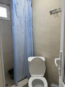 ein Bad mit einem WC und einem blauen Duschvorhang in der Unterkunft House in Tsikhisdziri, Kobuleti in K'veda Ulianovka