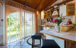 Η κουζίνα ή μικρή κουζίνα στο Stunning Home In Rijeka With Wifi