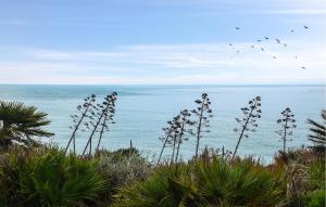 a group of birds flying over the ocean at Cozy Apartment In Santa Croce Camerina in Santa Croce Camerina +12 photos