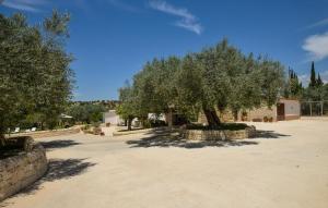 a tree in the middle of a dirt road at Tenuta Flaccavento in Chiaramonte Gulfi +32 photos