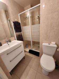 a bathroom with a toilet and a sink and a shower at Appartement Nice Carré d Or in Nice
